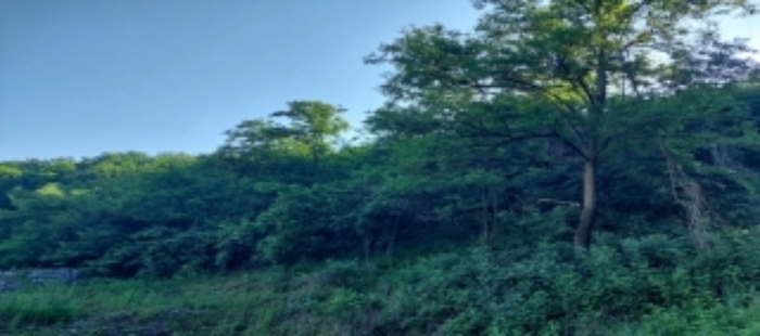 목록2 토지 일부 전경