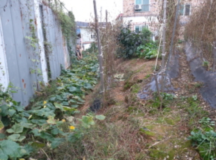 * 본건 목적물 1. 전경(밭농사)