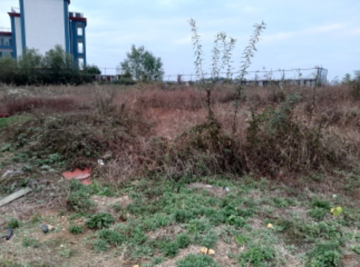 * 본건 목적물 3. 전경