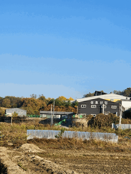 본건 및 부근 전경