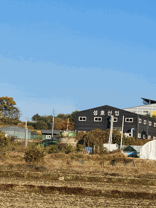 본건 및 부근 전경