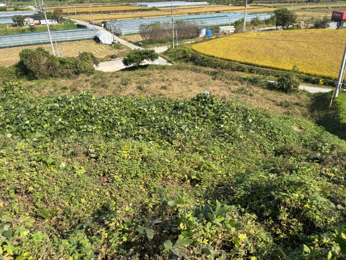 일련번호 7 전경