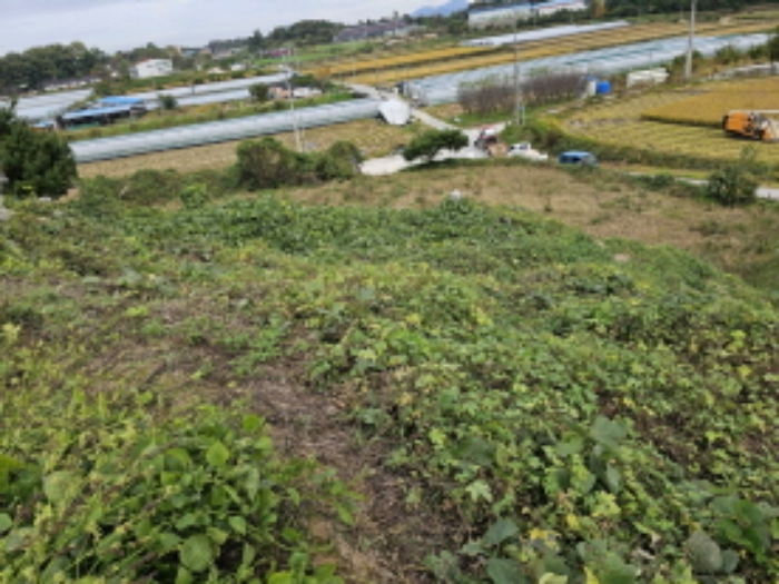 목적물 7 및 목적물 내 분묘