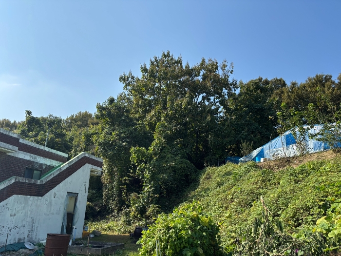 일련번호 6 전경