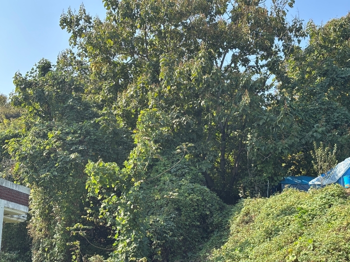 일련번호 6 전경