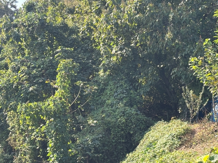 일련번호 6 전경