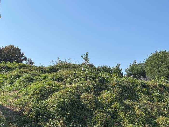 일련번호 7 전경