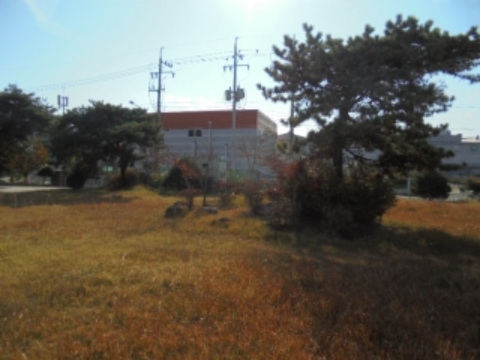 제시외 수목 전경