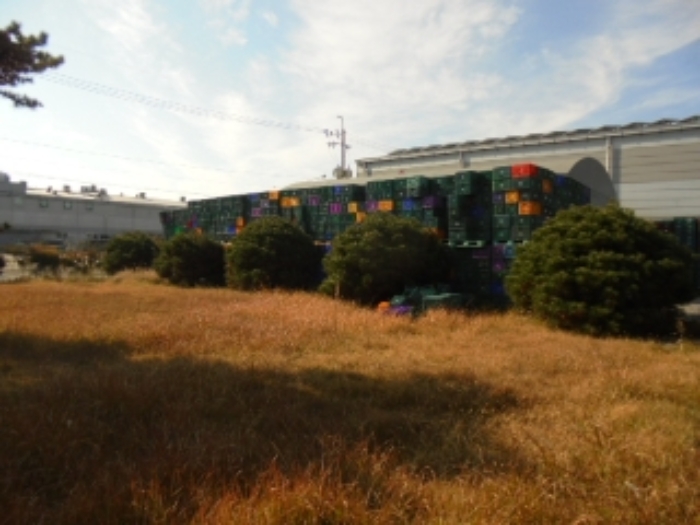 제시외 수목 전경