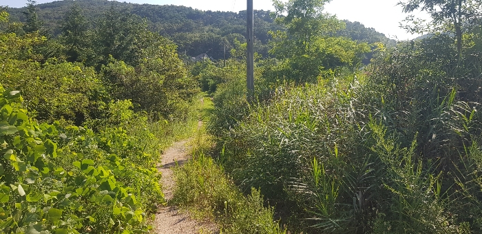 기호(18) 토지 전경