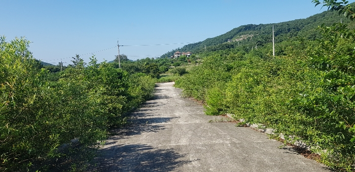 기호(26) 토지 전경