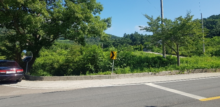 본건 토지 전체 전경