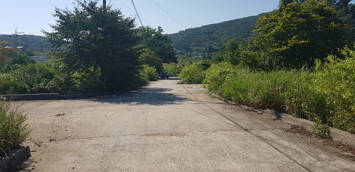 기호(28) 토지 전경