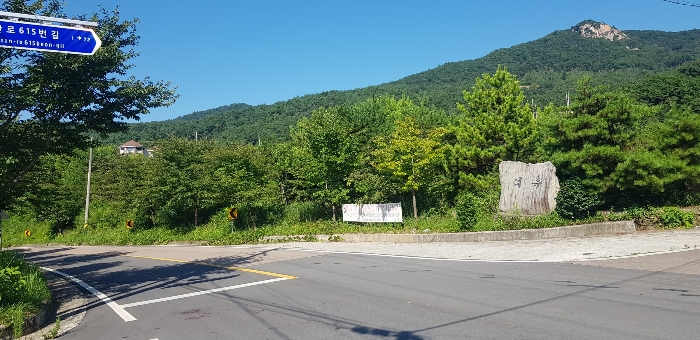 본건 토지 전체 전경