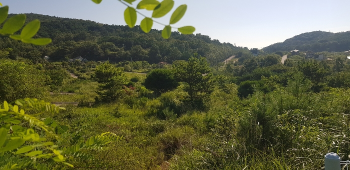 기호(12-16) 토지 전경