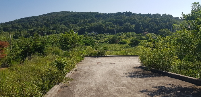 기호(4-9) 토지 전경