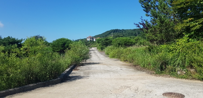 기호(1-19) 토지 전체 전경