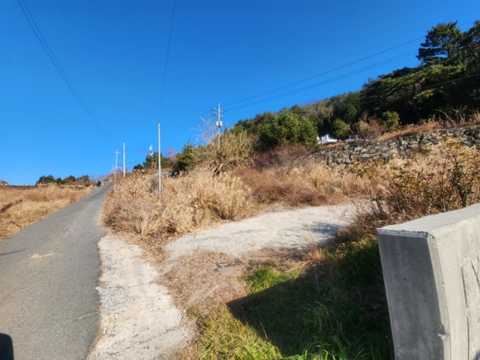 본건 토지 (2), (3) 전경