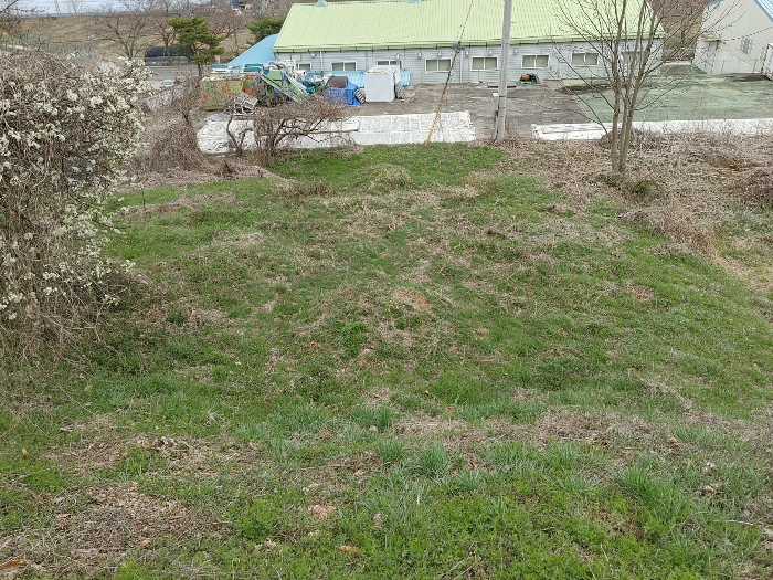 【 본 건 전 경 : 기호 ② 】