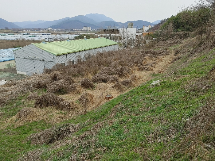 【 본 건 전 경 : 기호 ① 】