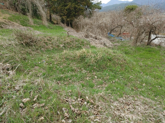 【 기호 ② 지상 분묘 】