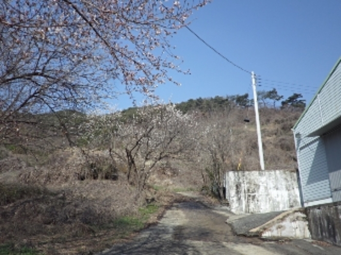 율동리 산137-5 전경