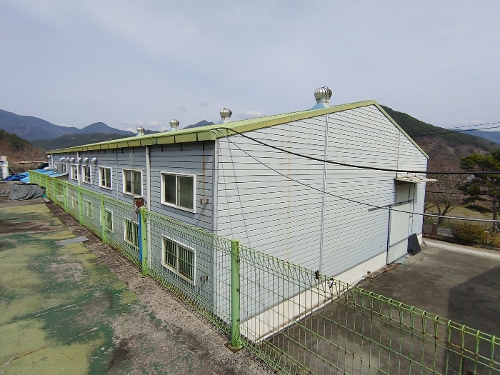 【 본 건 전 경 : 기호 ⑤ 】