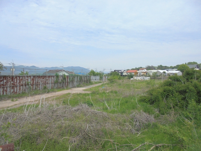 본건 토지 전경