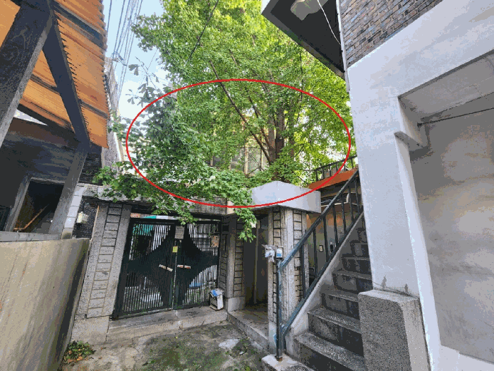 기호2 건물 및 기호3 토지(북서측에서 촬영)