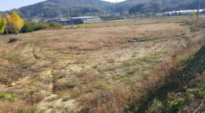 * 목록29. 전경