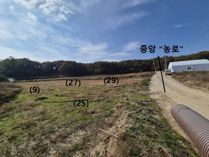 일단지(전) 남