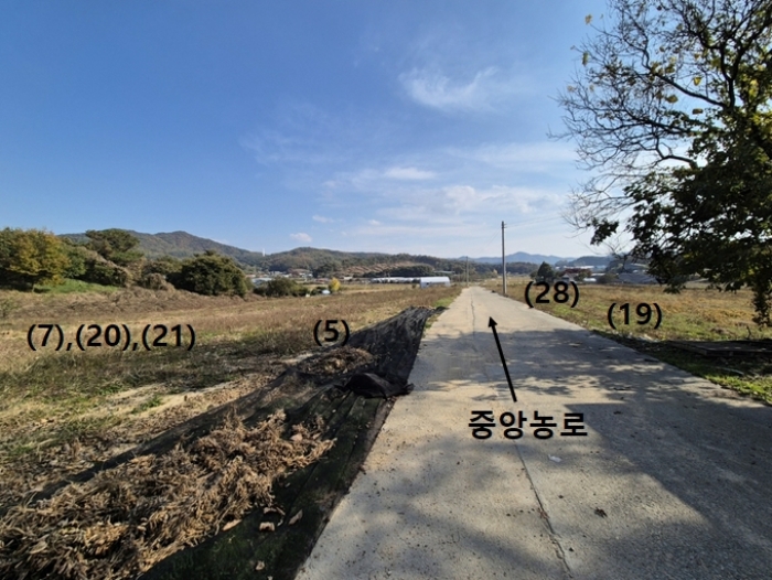 일단지(전)의