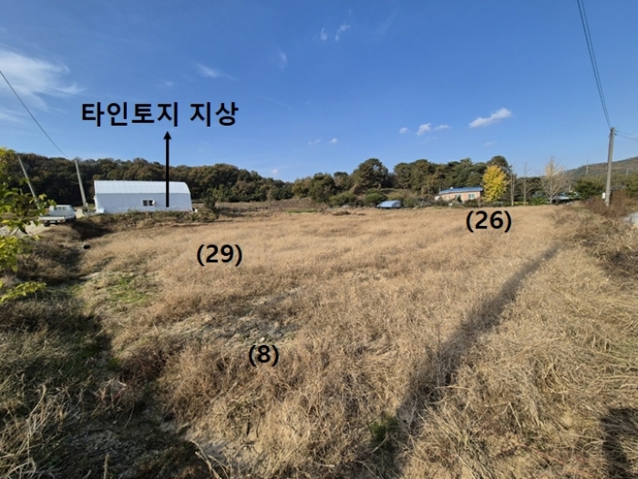 일단지(전)남동
