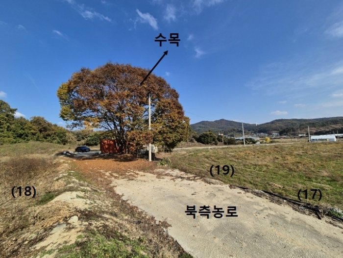 일단지(전) 북