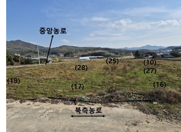 일단지(전) 북