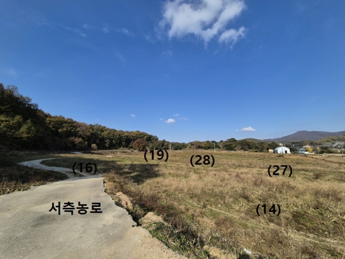 서측 농로(국유