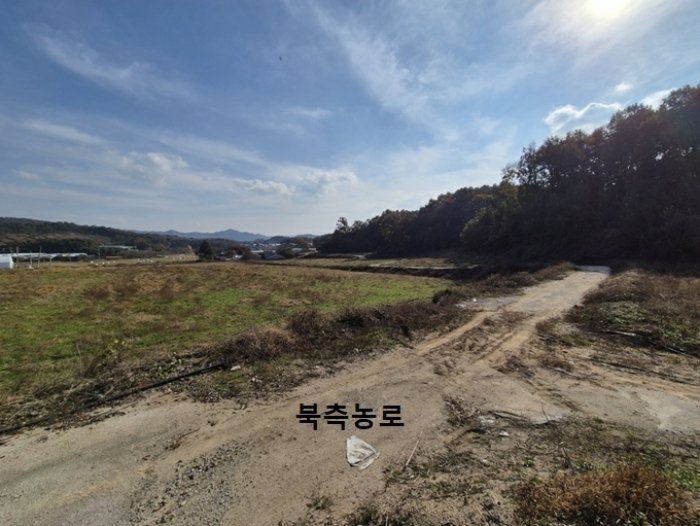 일단지(전) 북