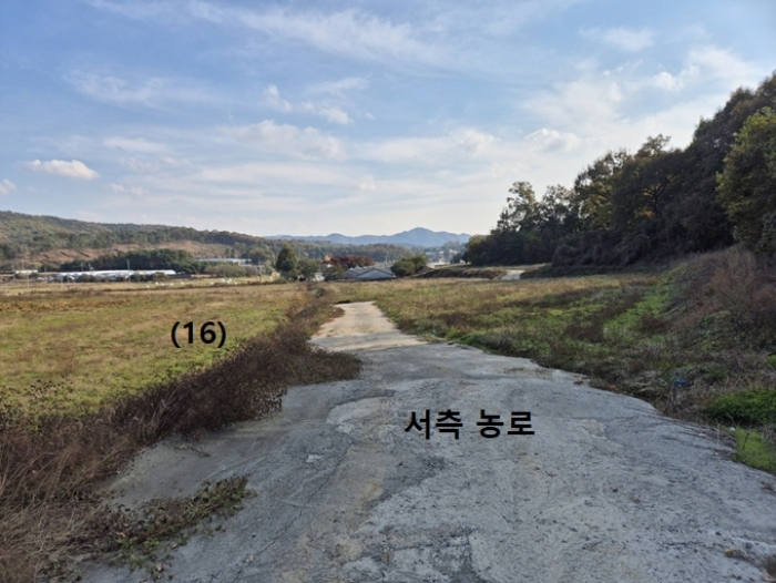 서측 농로 전경