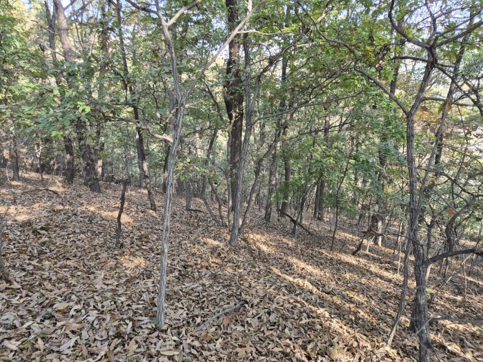 기호(4)산46