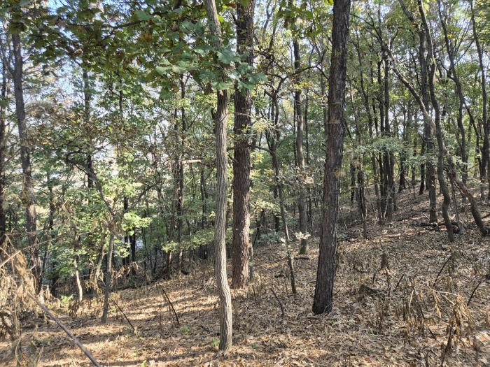 기호(4) 산4