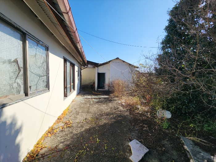 기호 2 지상 수목