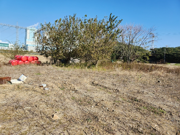 기호 5 지상 수목