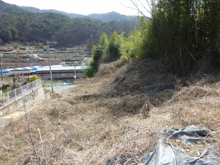 본건 기호(12) 전경