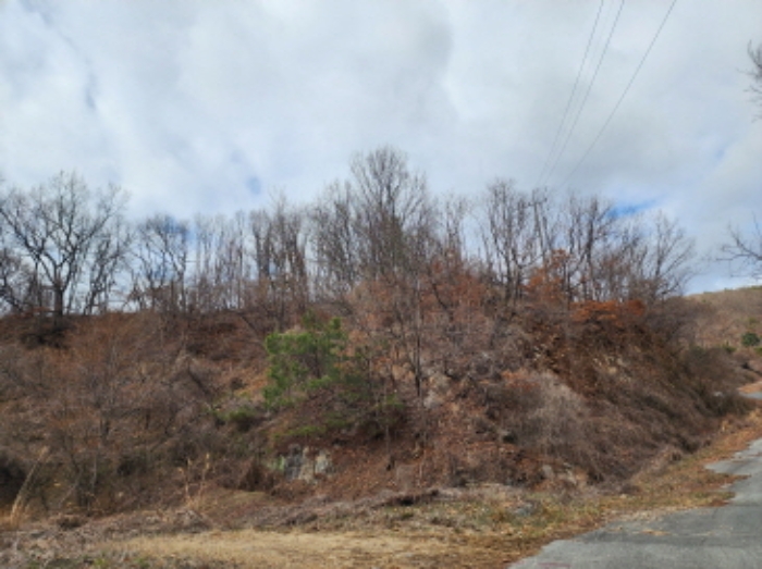 양산시 명곡동 산71-2 임야