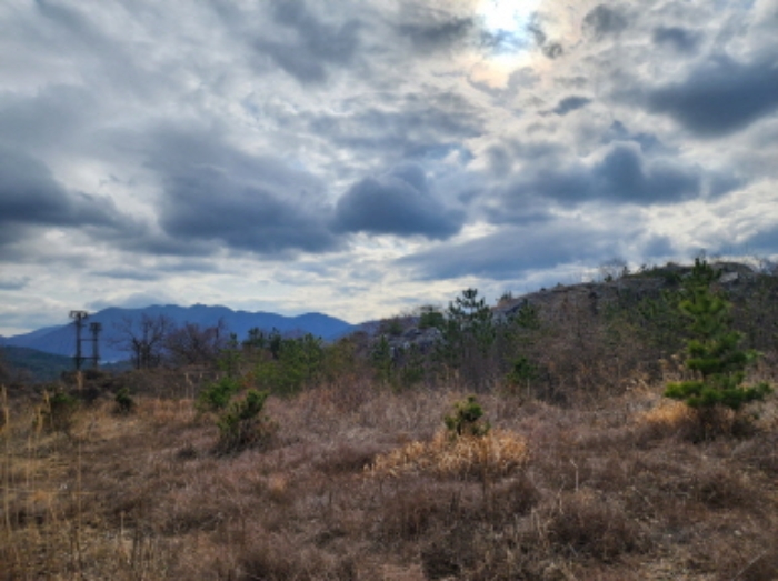 양산시 명곡동 산71-9 임야