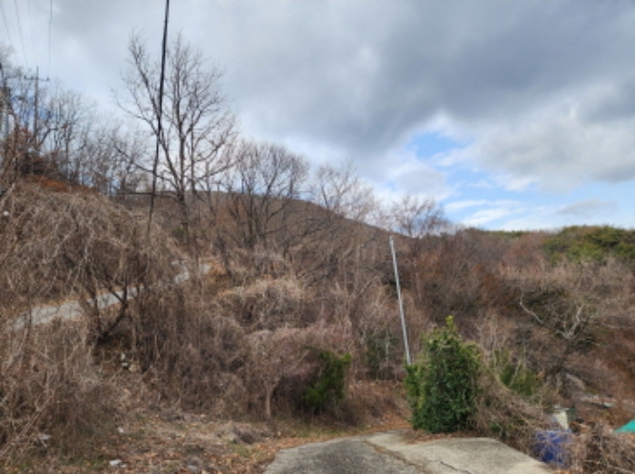 양산시 명곡동 산71-15 현황:임야