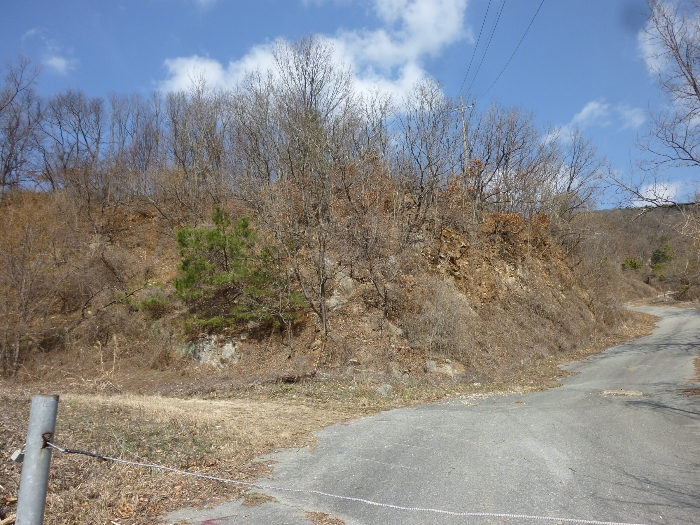 본건 기호(1) 전경