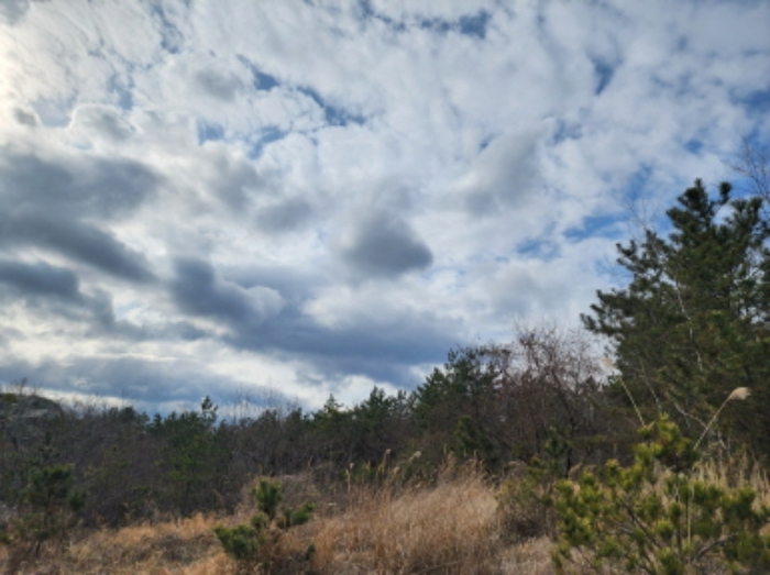 양산시 명곡동 산71-8 임야