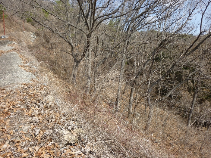 본건 기호(14) 전경