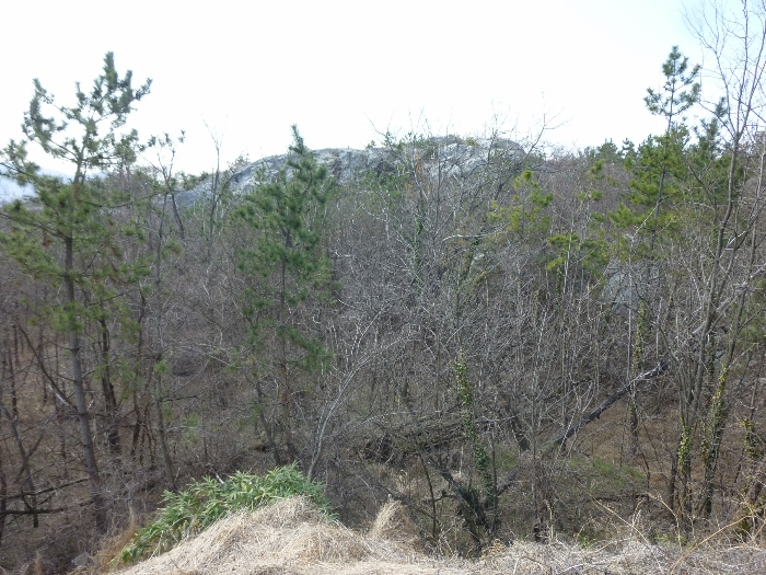 본건 기호(3,4) 전경